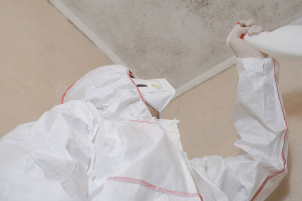 Localized Mold Remediation (e.g., coastal areas, humid climates)